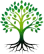 Logo de Centro Psicológico Raíces